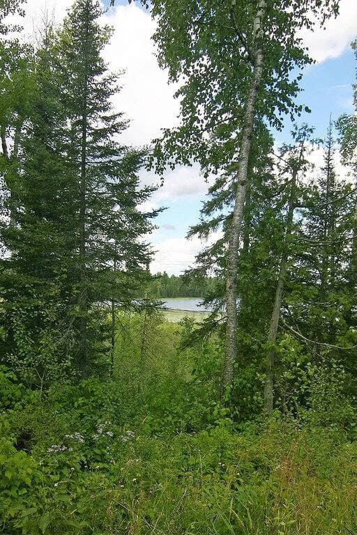 Foto 13 von 30: White Pine Retreat - Neu - Wilderness Escape im Superior National Forest