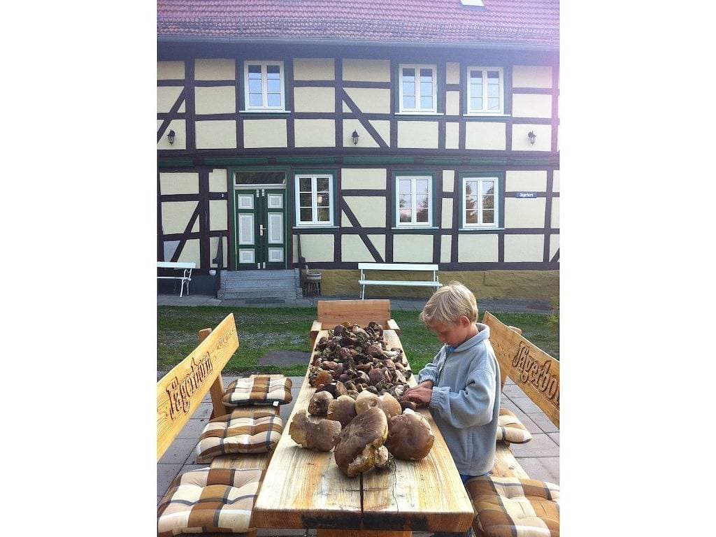 Foto 2 von 25: Ferienhaus in Tanne mit Schwimmbecken