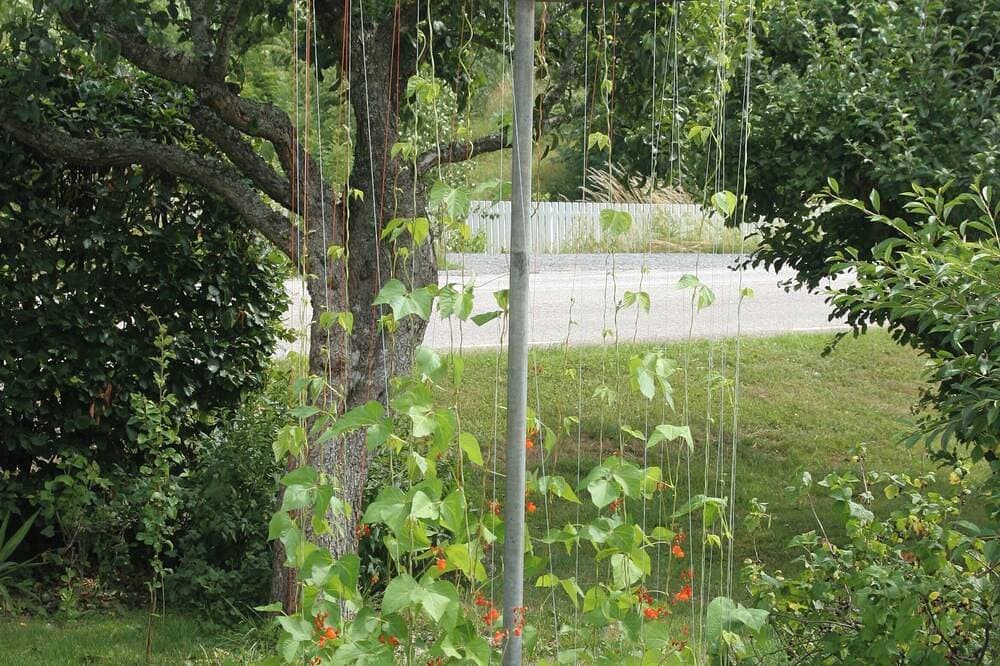 Foto 7 von 12: Ruhige Lage, Garten, Rentner, kleine Kinder