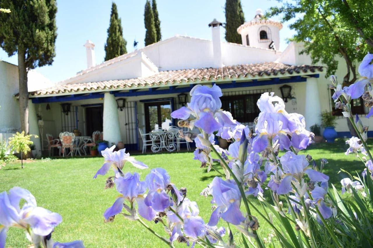 Foto 4 von 65: Venta del Celemín