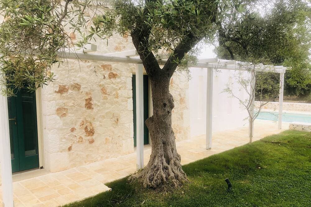 Foto 7 von 30: White stone typical apulian villa  with barrel roof  surrounded by olive trees.