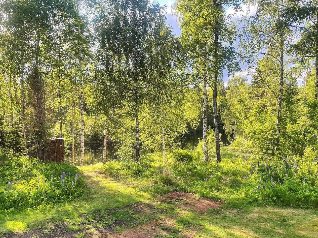Foto 10 von 29: 4 Personen Ferienhaus in Håcksvik
