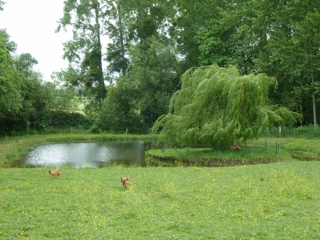 Foto 13 von 22: Le Paon