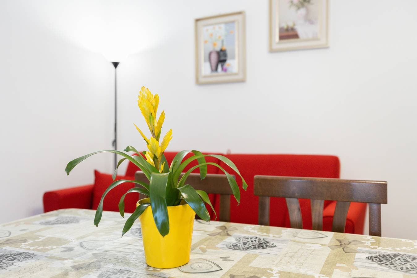 Foto 13 von 40: Apartment 'Erato' mit Meerblick, WLAN und Klimaanlage