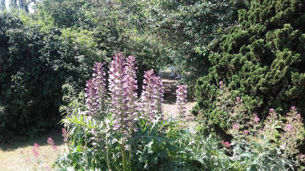 La maisonnette du Jardin Fleuri 1
