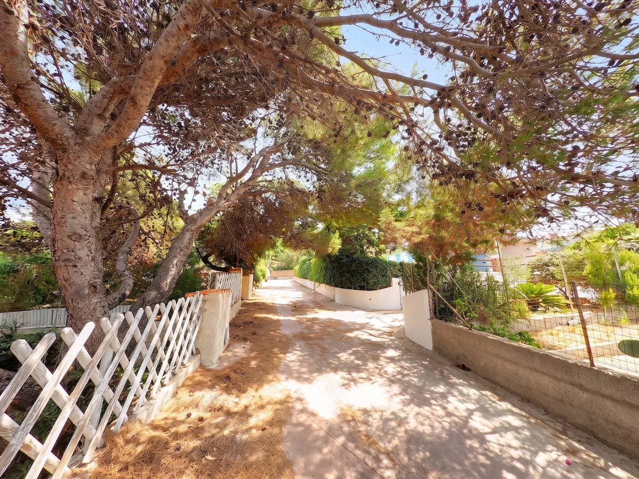 Foto 8 von 38: Gemütliches Haus in Punta Tramontana – 60 m² mit Meerblick