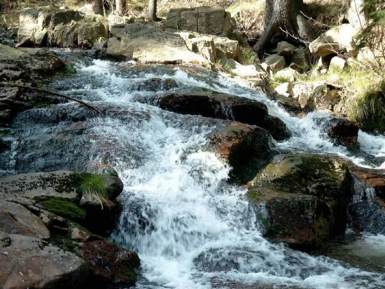 Foto 6 von 34: Drabik