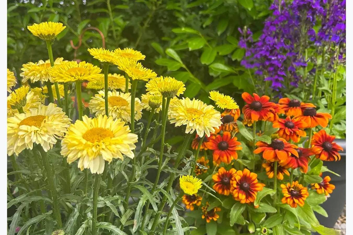 Foto 9 von 34: Ferienwohnung für 2 Personen mit Garten