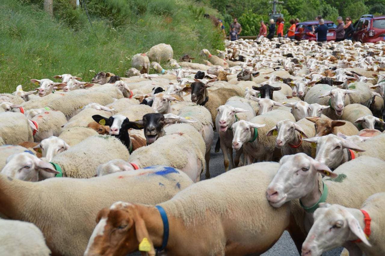 Foto 9 von 44: One-Bedroom House