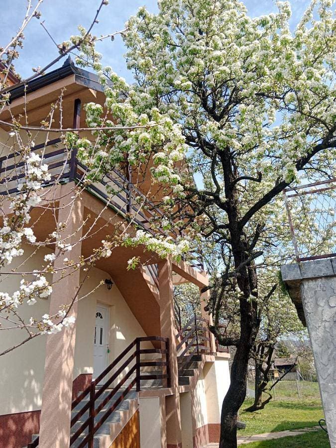 Apartmani Ostojic 1