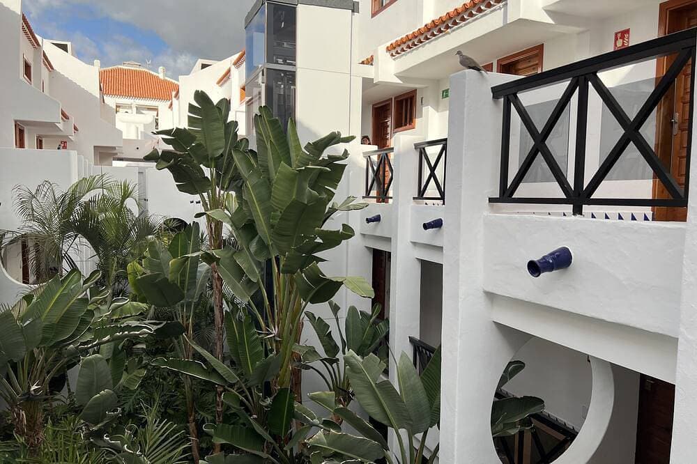 Foto 7 von 26: Sunny Ocean Studio at Playa de Las Americas