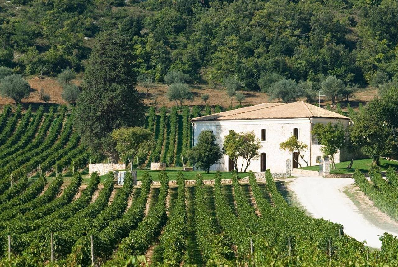 San Calisto camere con vigna 1