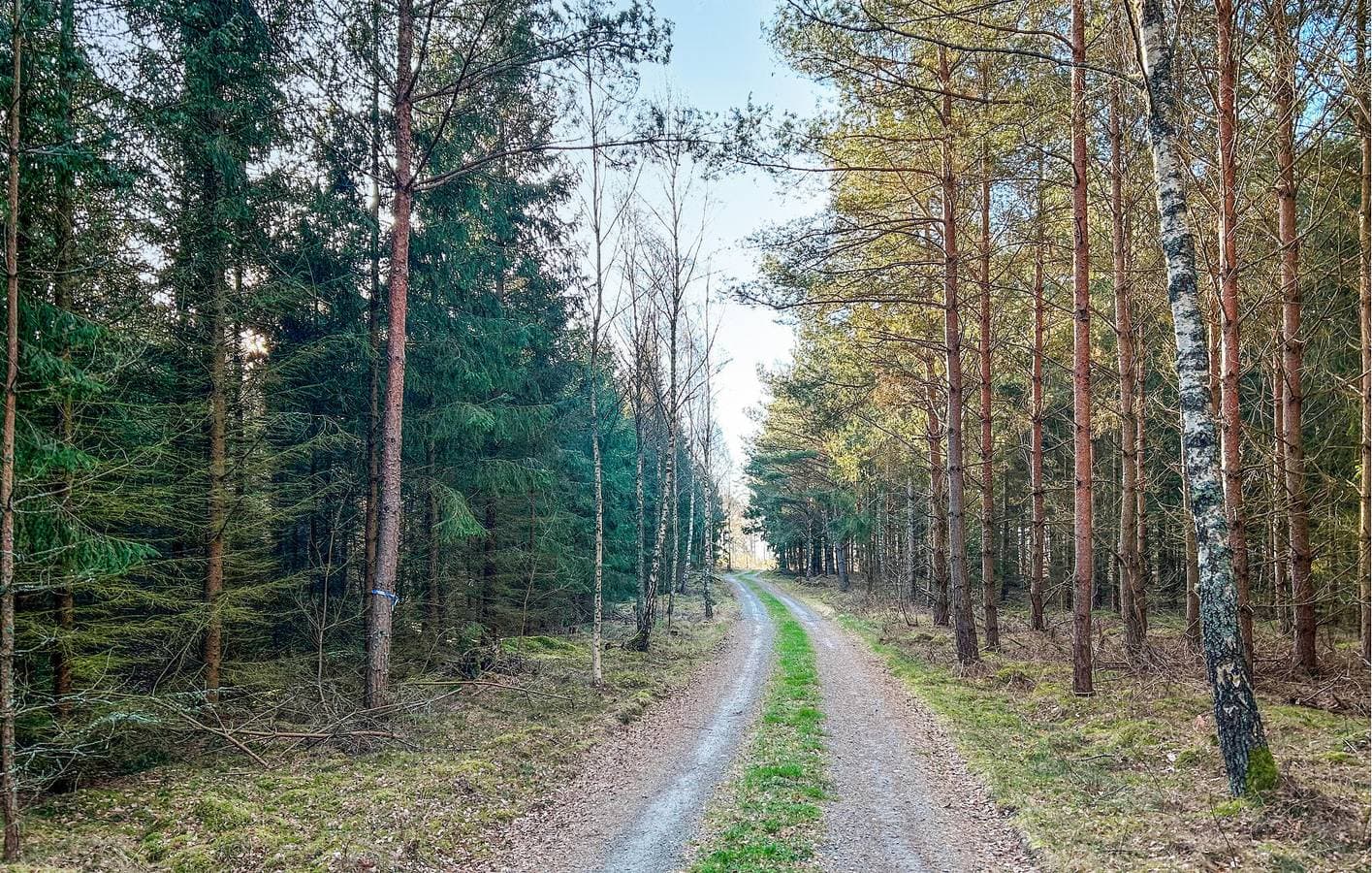 Foto 7 von 14: Ferienhaus für 4 Personen mit Garten