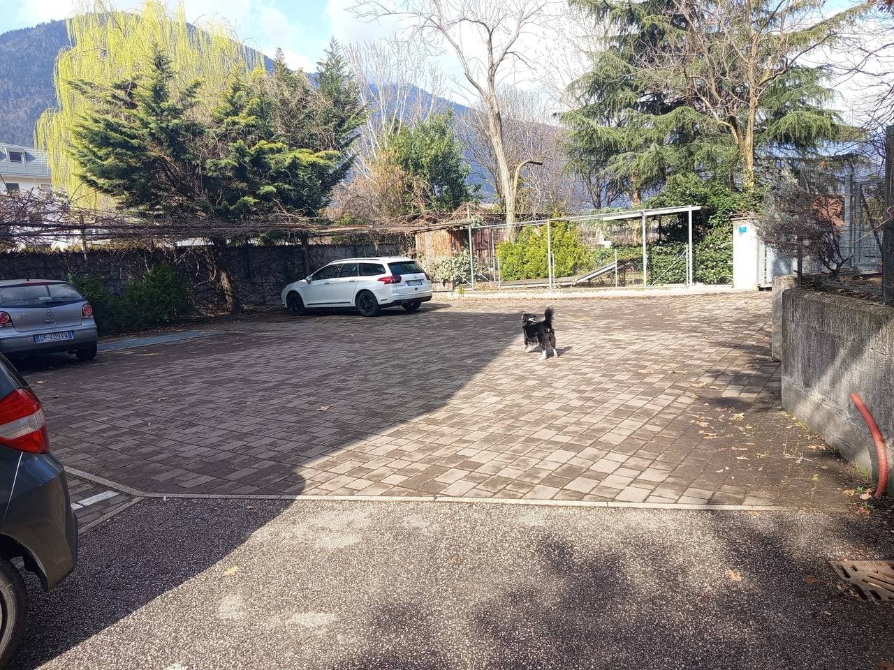 Foto 4 von 14: Ferienwohnung 'Annabelle', Gemeinschaftsgarten, WLAN und möglicher Nutzung des privaten Pools
