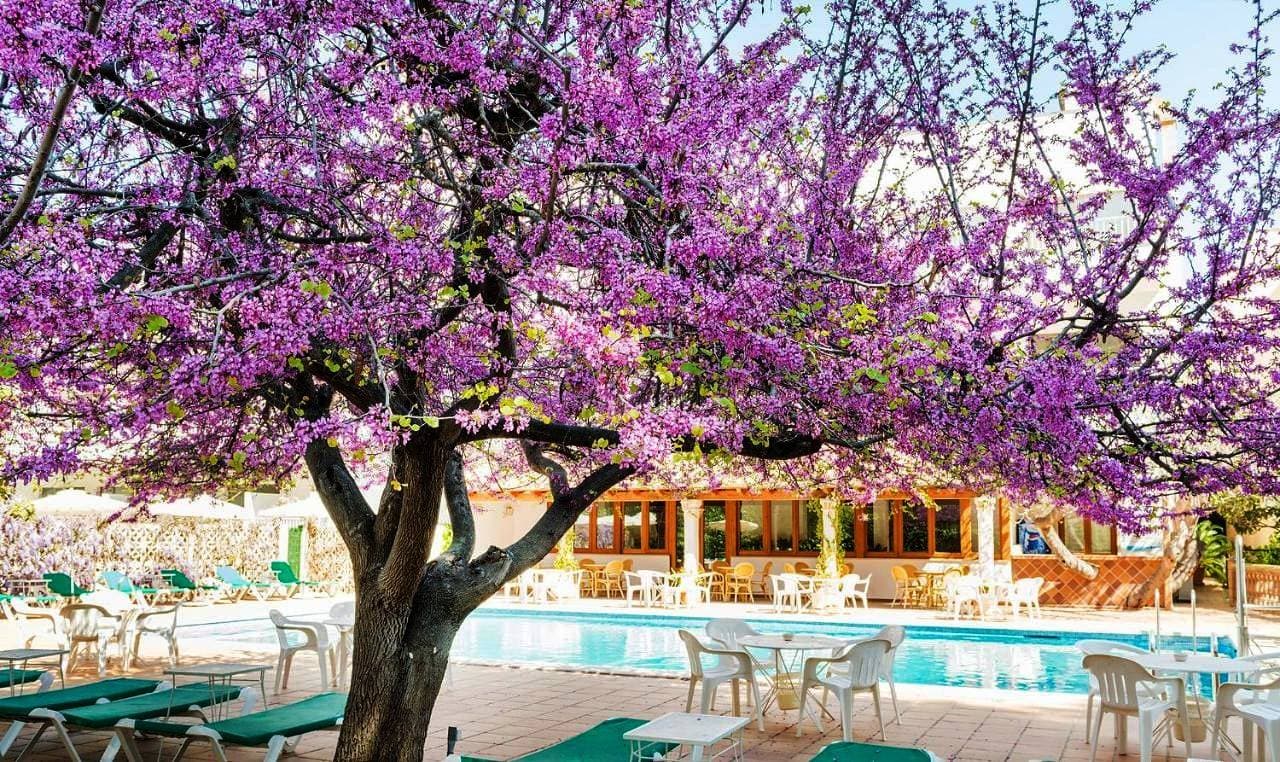 Hotel Gaya 1