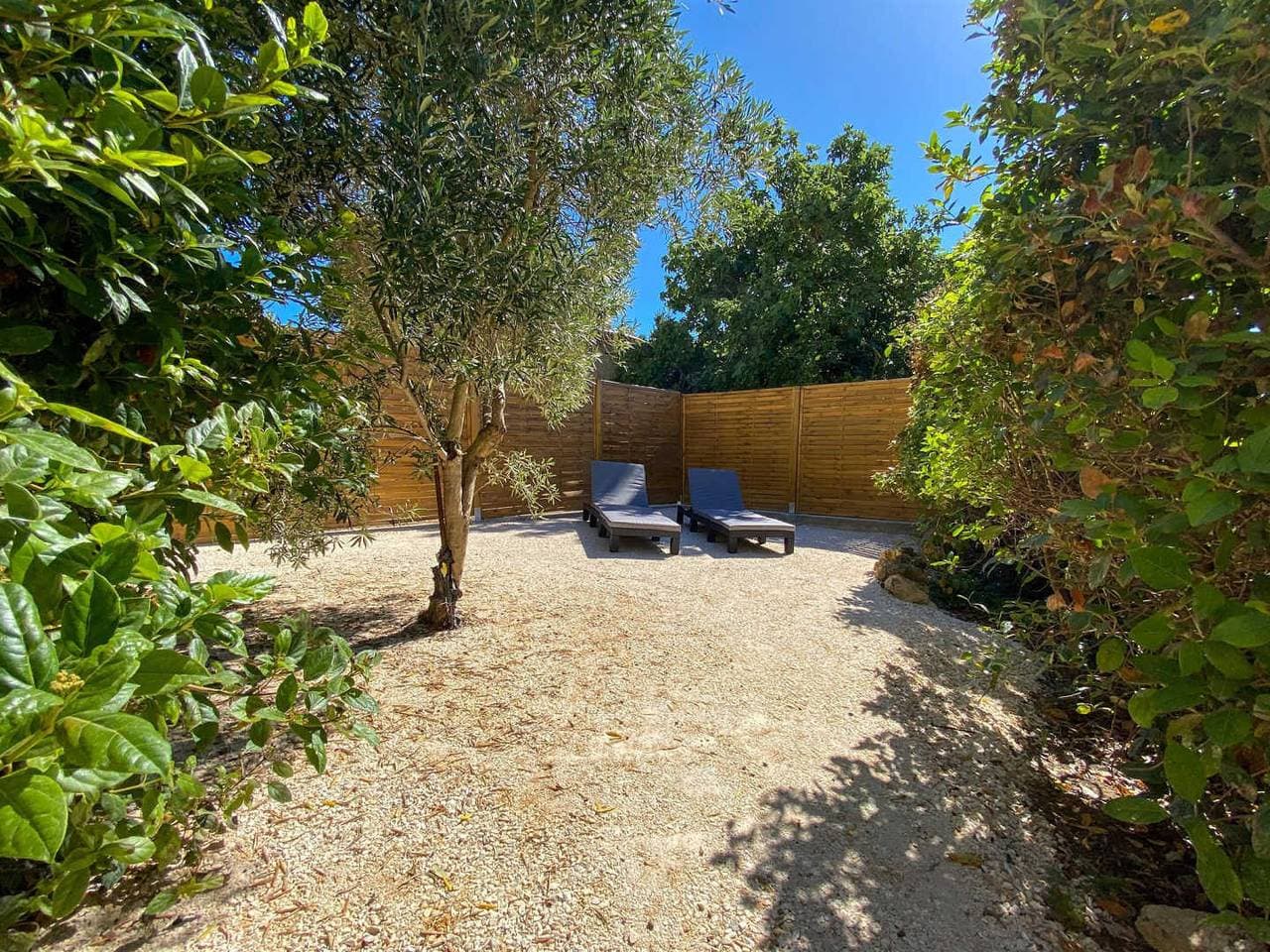 Foto 4 von 20: La Vigne