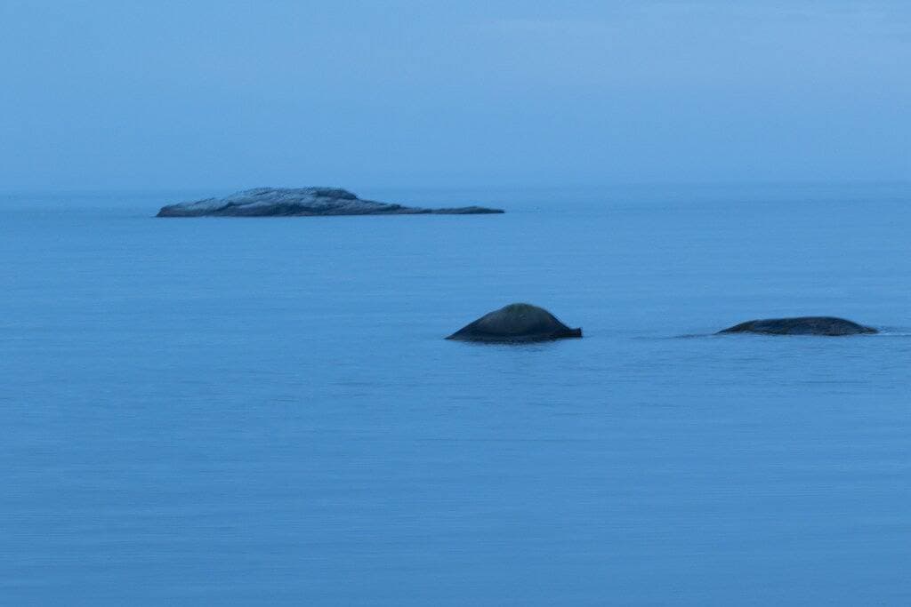 Foto 10 von 39: Idyllisches Cottage am Meer, in der Nähe von Peggy's Cove!