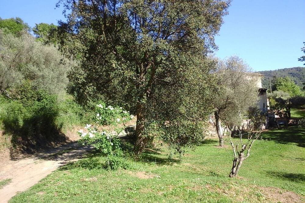 Foto 8 von 22: Frei stehende Villa in der Provence Landschaft zwischen Hyères und St. Tropez