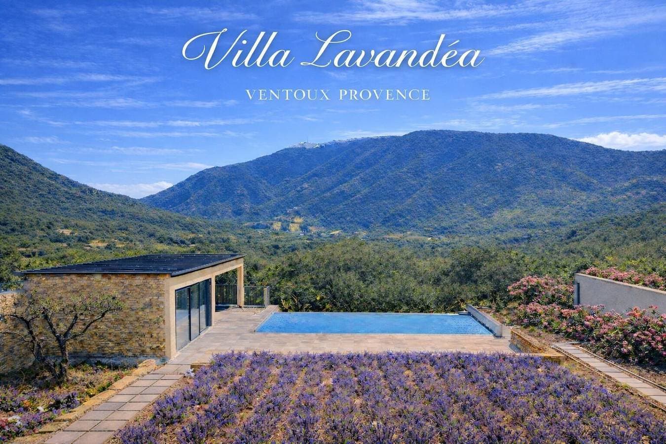 Foto 3 von 32: Lavandea
