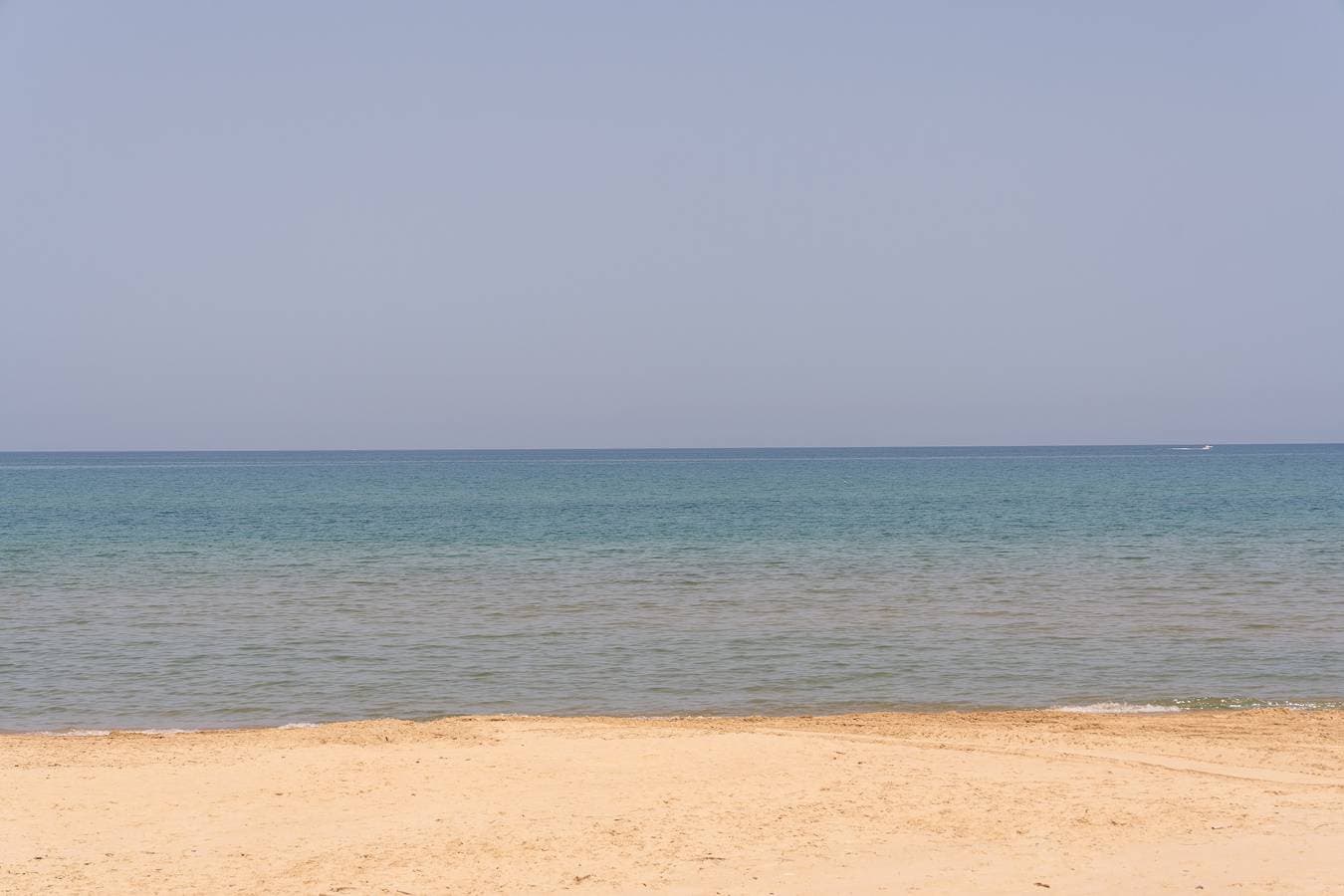 Sea Nest 1