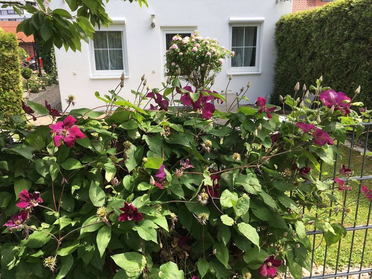 Foto 12 von 22: Ferienwohnung 3 mit privatem Garten und WLAN