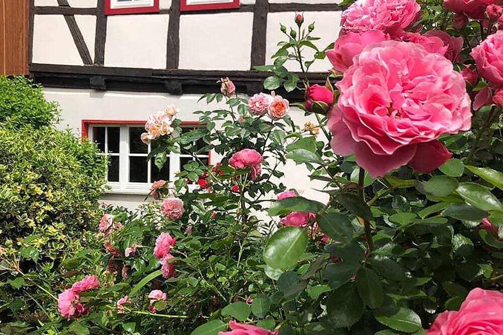 Foto 12 von 20: Fachwerk- Gesindehaus Börnecke