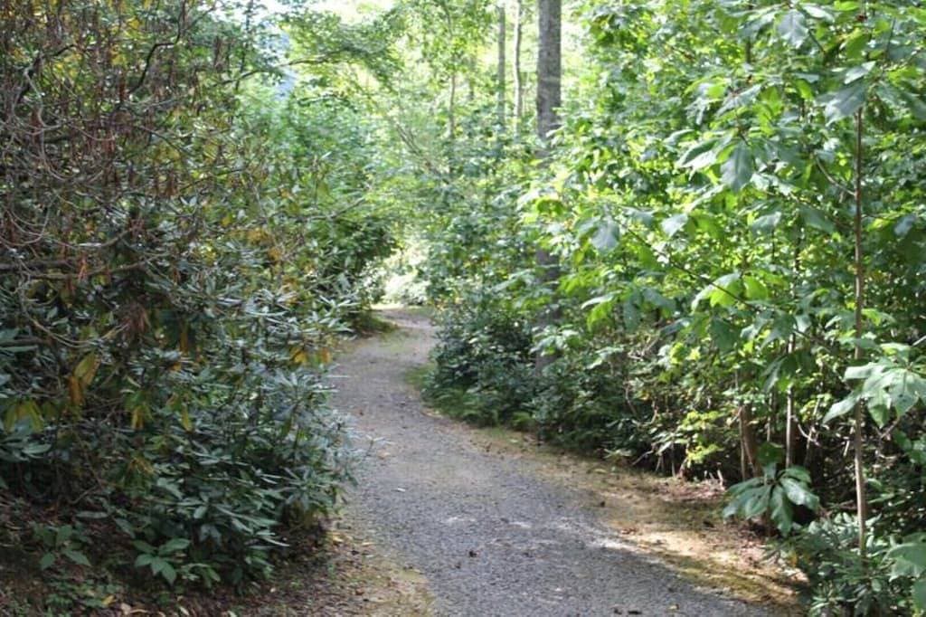 Foto 12 von 26: Creekside im Do Drop Inn