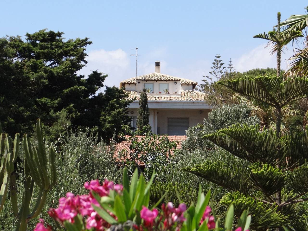 Foto 4 von 40: Villa Matilde: Kleine Ferienwohnung mit Meerblick