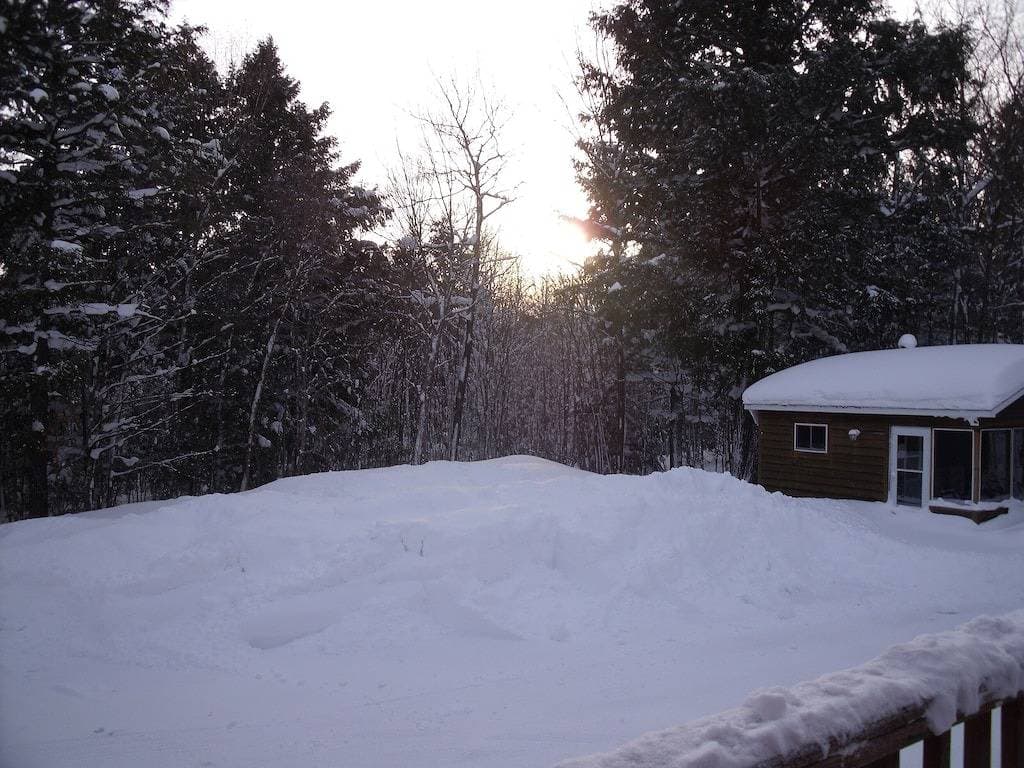 Foto 3 von 12: Porcupine Lodge - Einheit 4