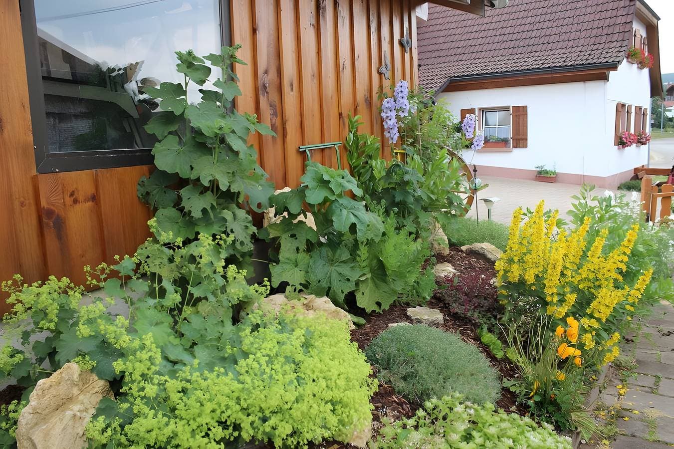 Ferienwohnung Boch Schluchsee 1