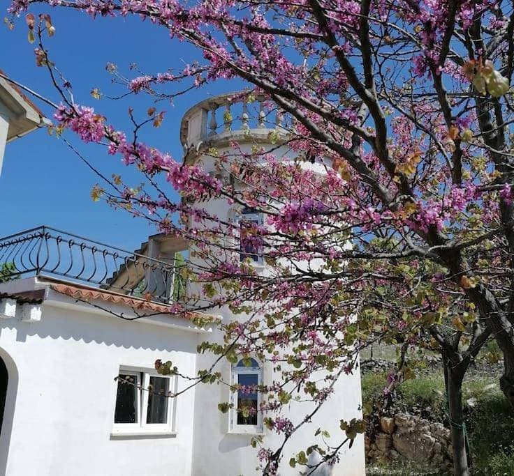 Villa Rapunzel 1