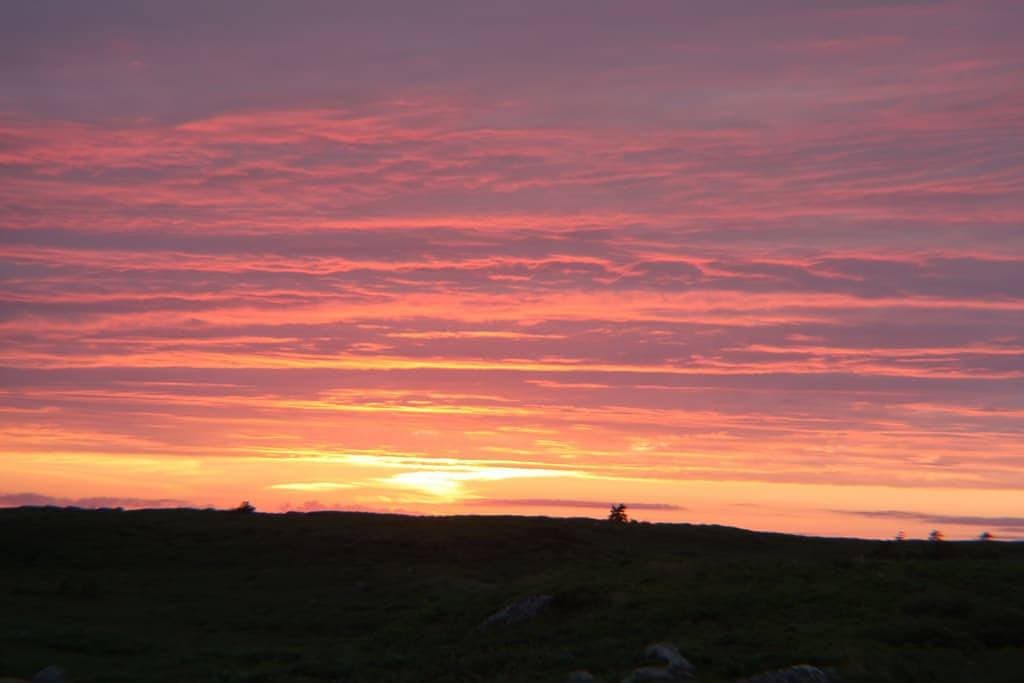 Foto 7 von 39: Idyllisches Cottage am Meer, in der Nähe von Peggy's Cove!