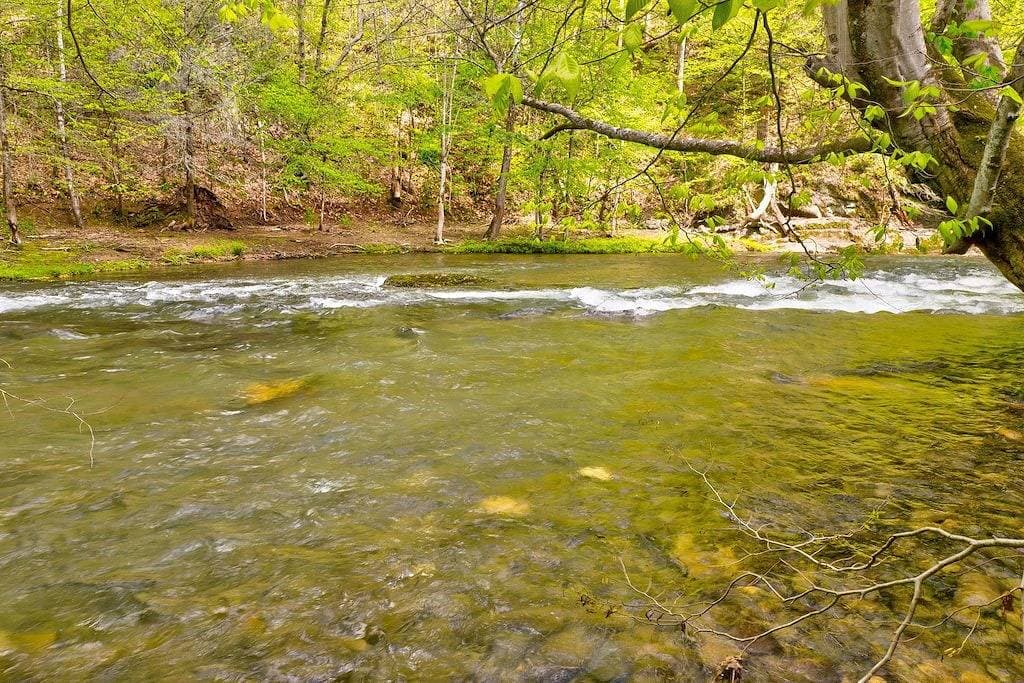 Foto 11 von 45: Vor Liebe platzende Herzen (Romantic Creekside Retreat)