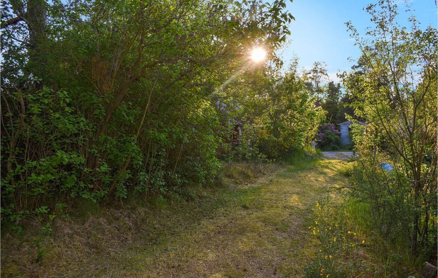 Foto 11 von 20: Ferienhaus für 5 Personen mit Garten