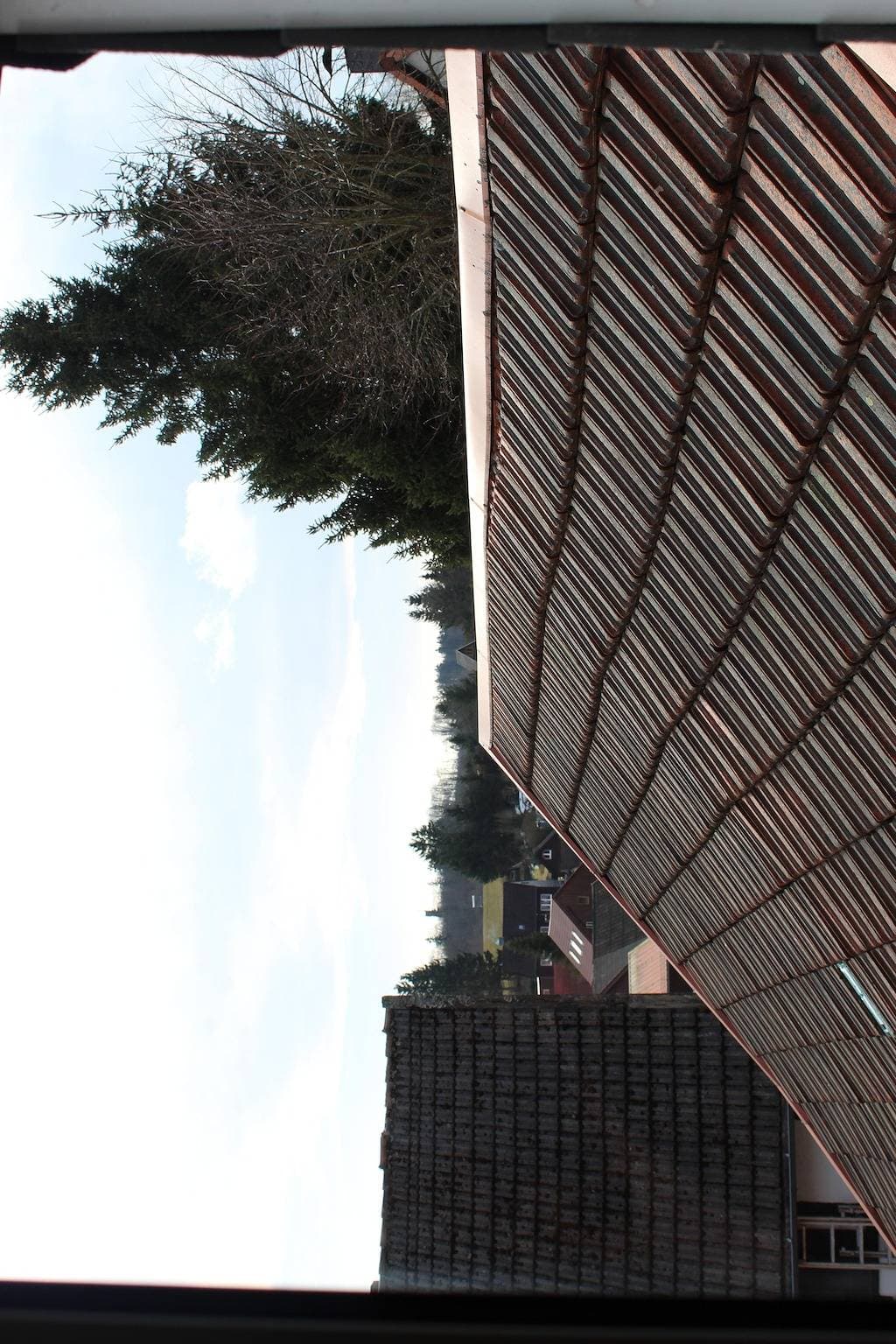 Foto 5 von 36: Fewo Harz Benneckenstein
