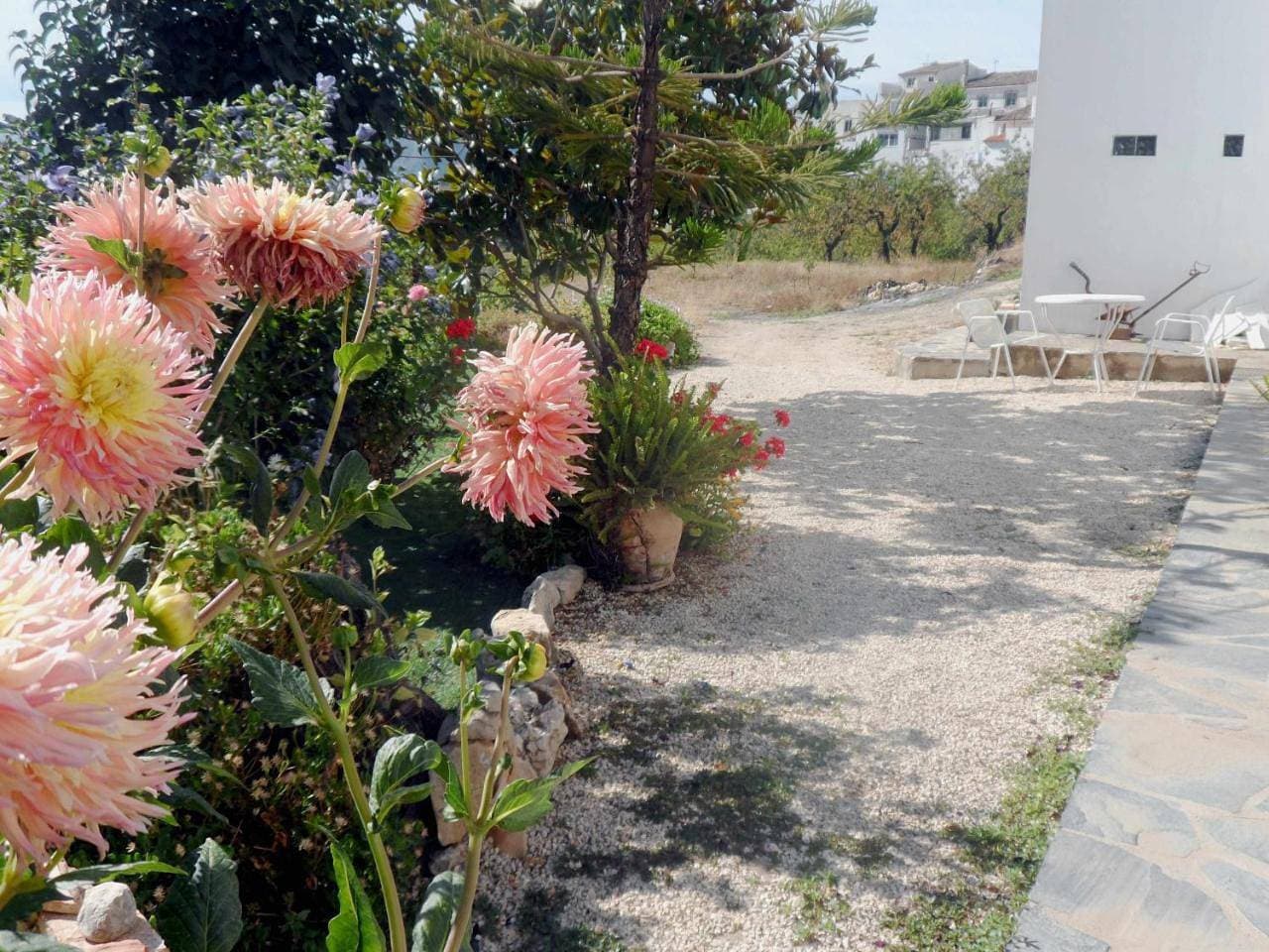 Foto 7 von 25: Holiday Home