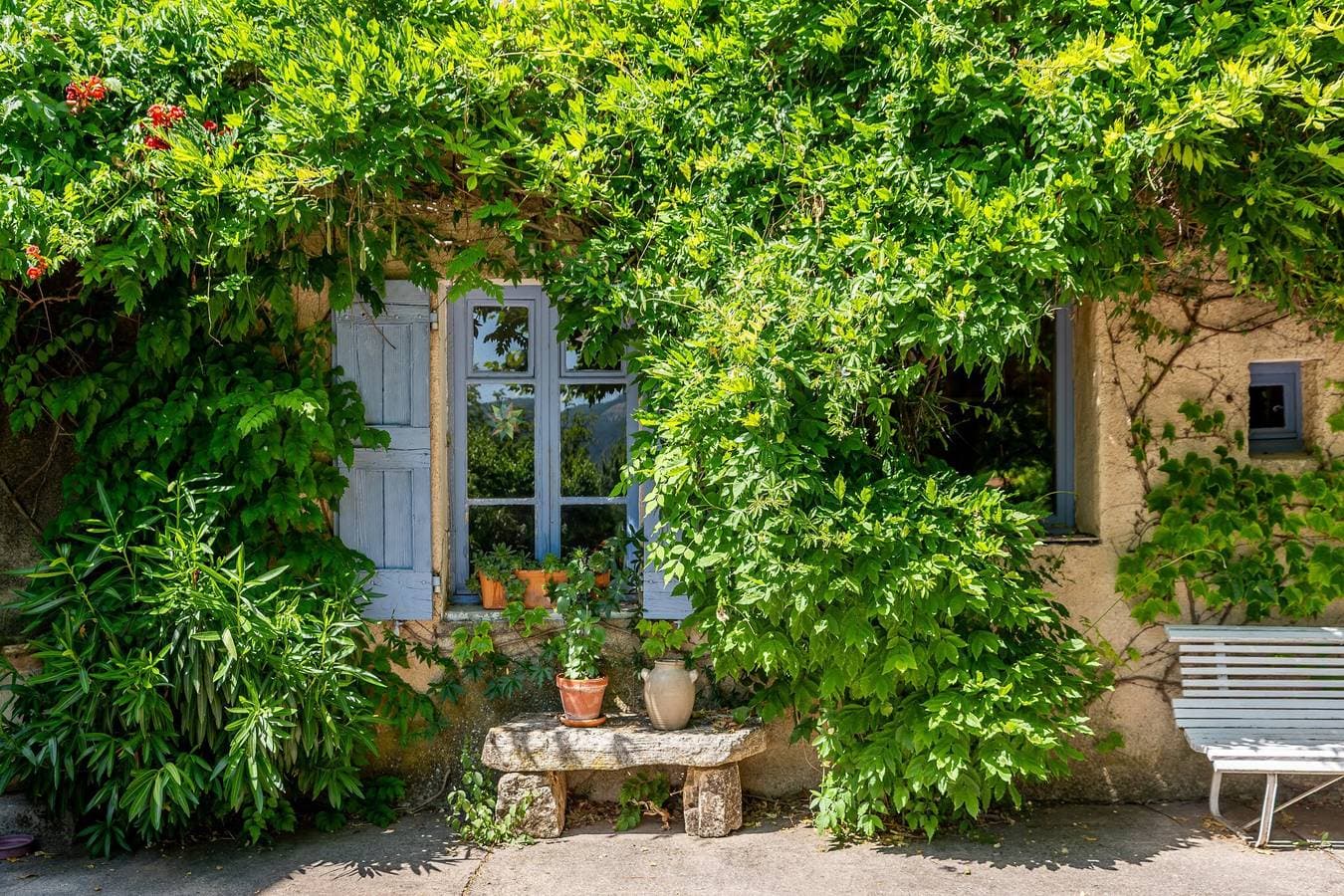 Foto 12 von 31: Bed and Breakfast 'Chambre' mit privater Terrasse, gemeinsamem Garten und WLAN