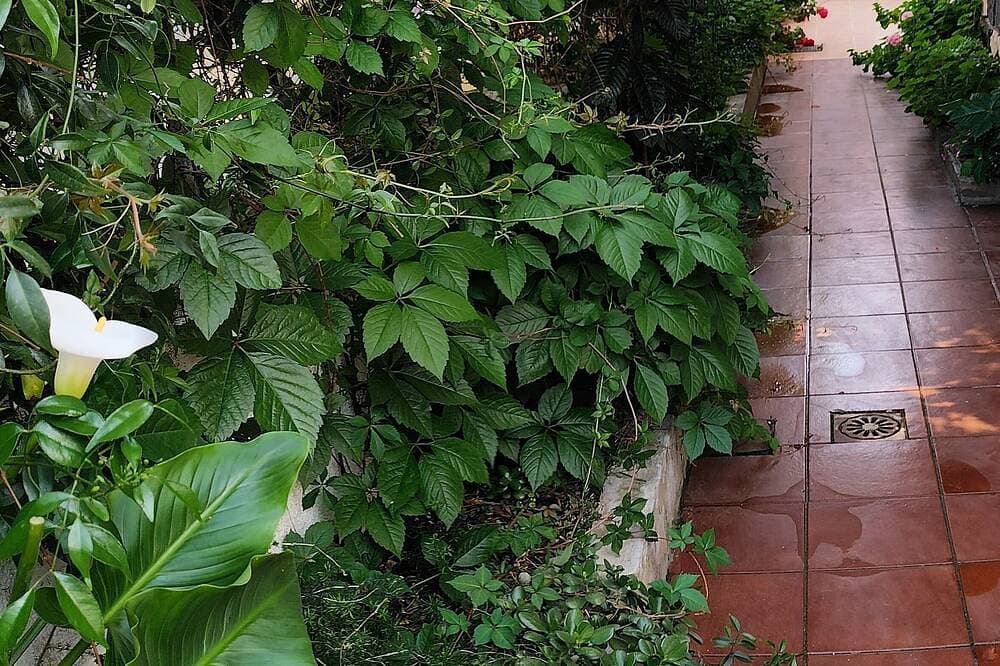 Foto 12 von 30: Cala Gonone Beautiful House With Garden In Paradise The Sea Of Sardinia