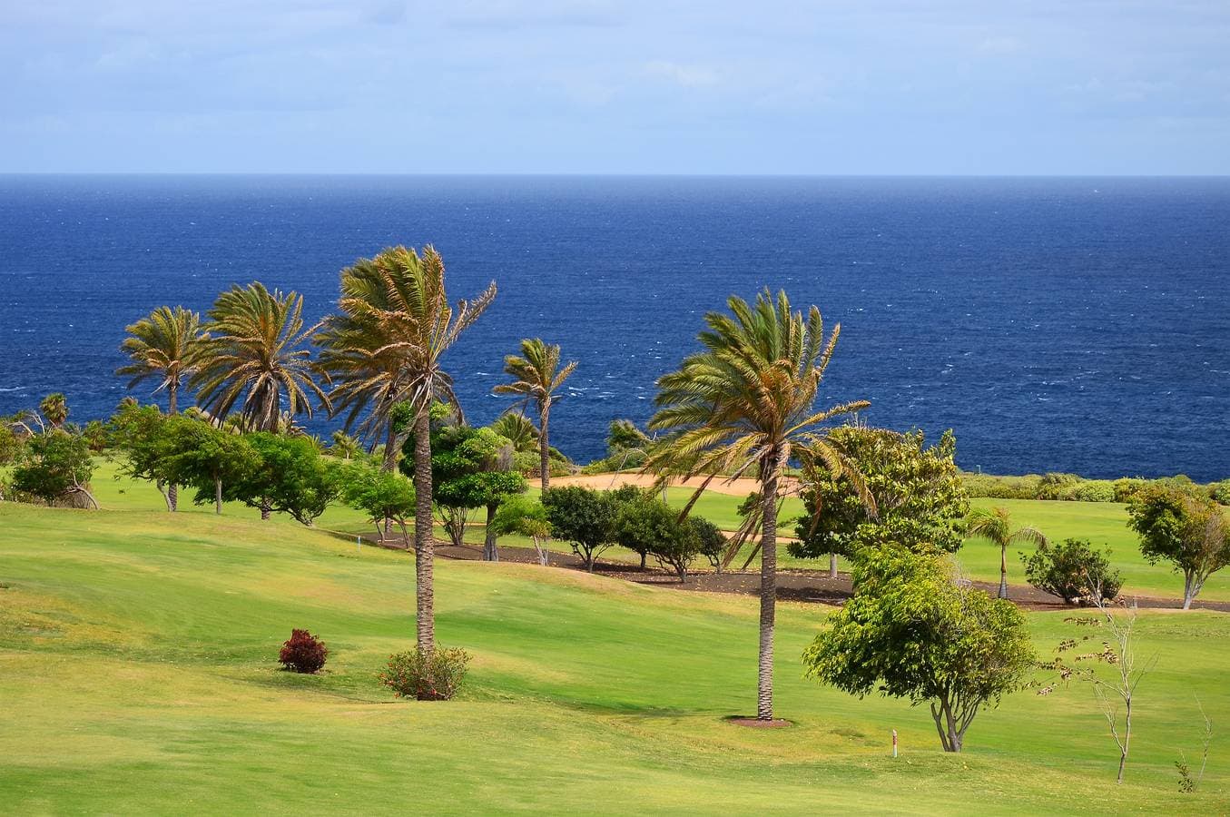 Foto 2 von 64: Terraza de la Paz Vista Campo de Golf