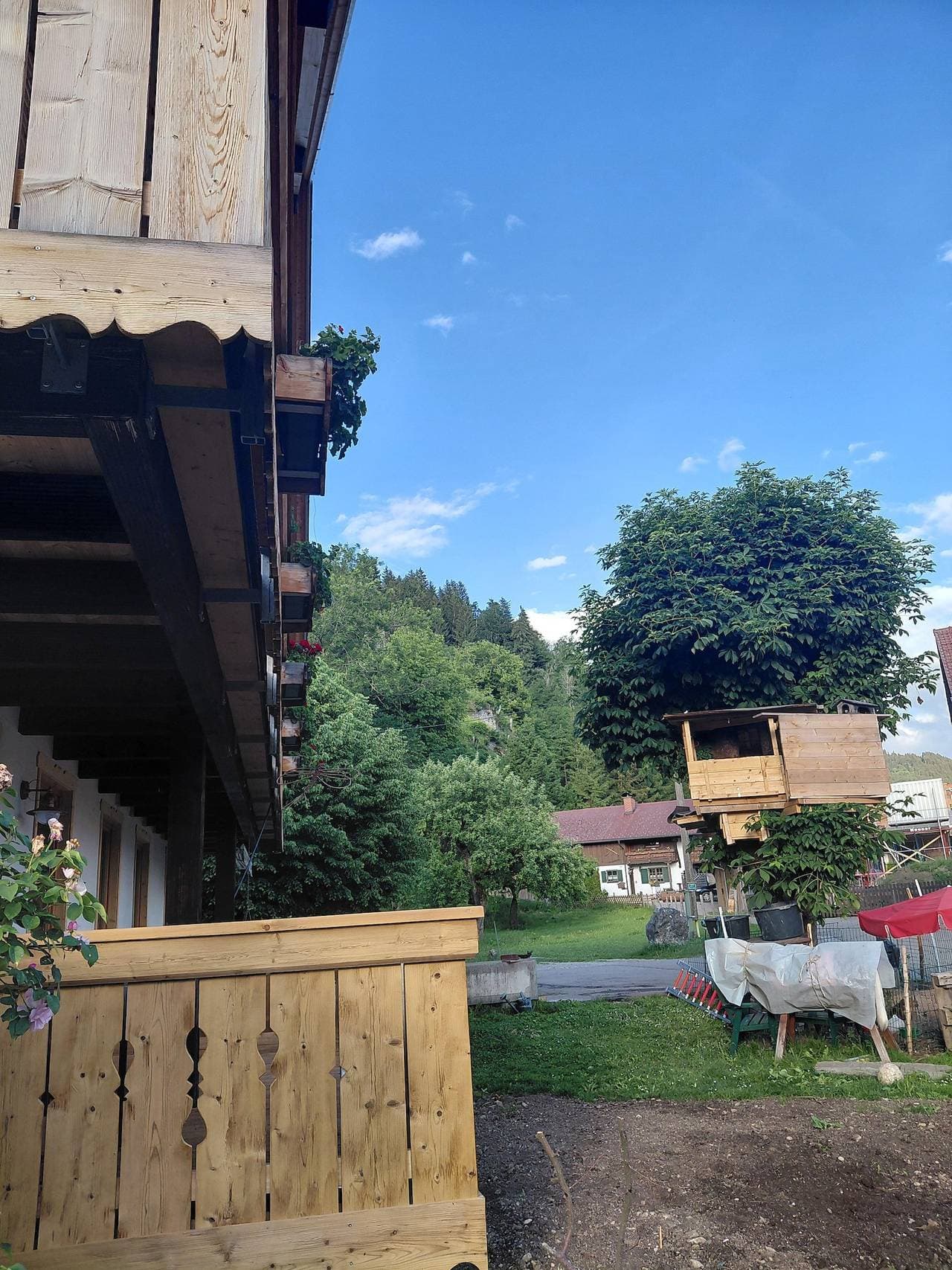 Foto 8 von 9: Ferienwohnung an der Burgruine