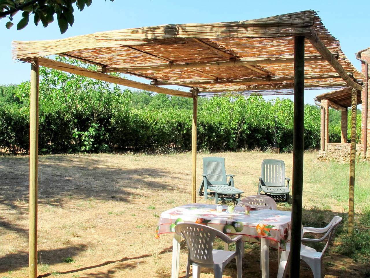Foto 3 von 49: Fattoria Petraglia - Cedro