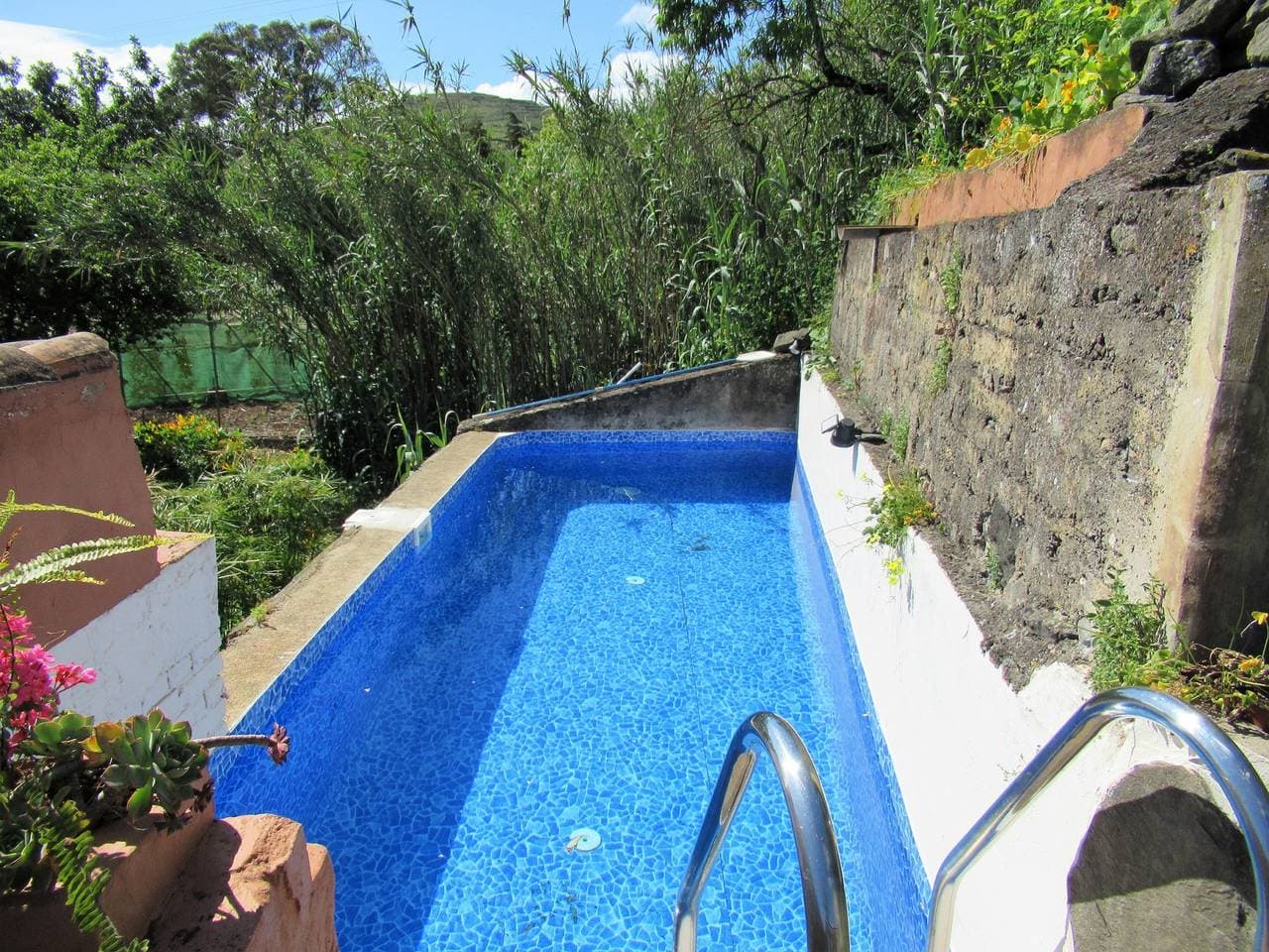 Vivelorural: Alpendre de Ayala, piscina y jardín 1