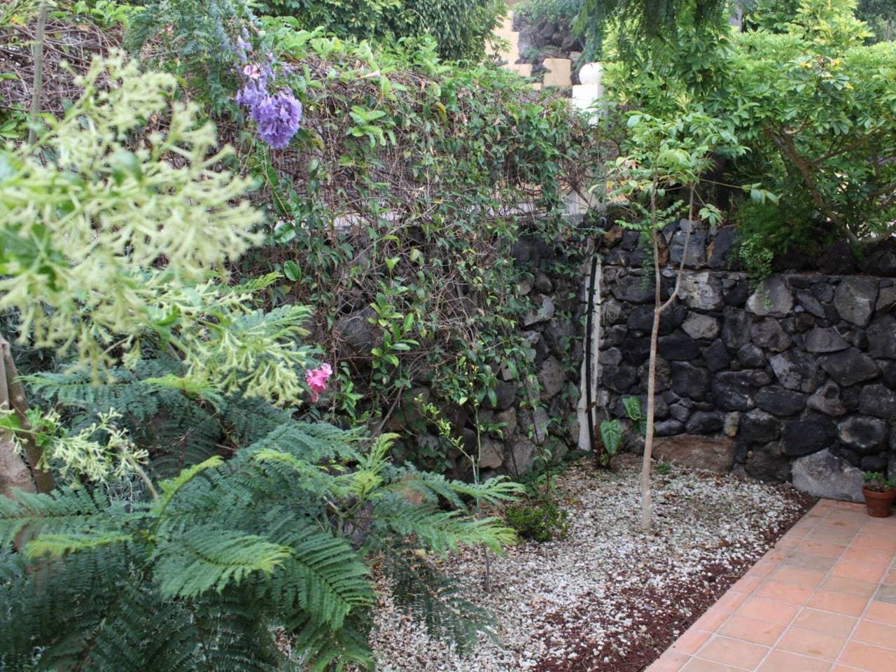 Foto 10 von 21: Bungalow in Teneriffa mit 2 Schlafzimmer