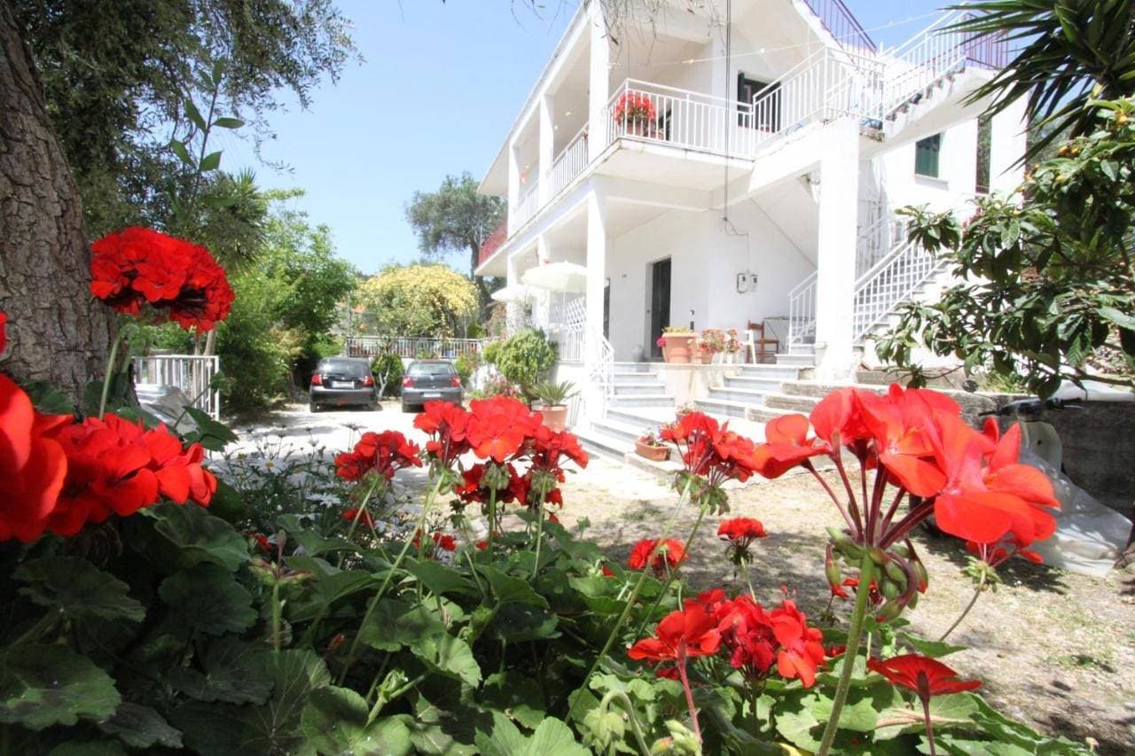 Angeliki Studio & Apartment 1