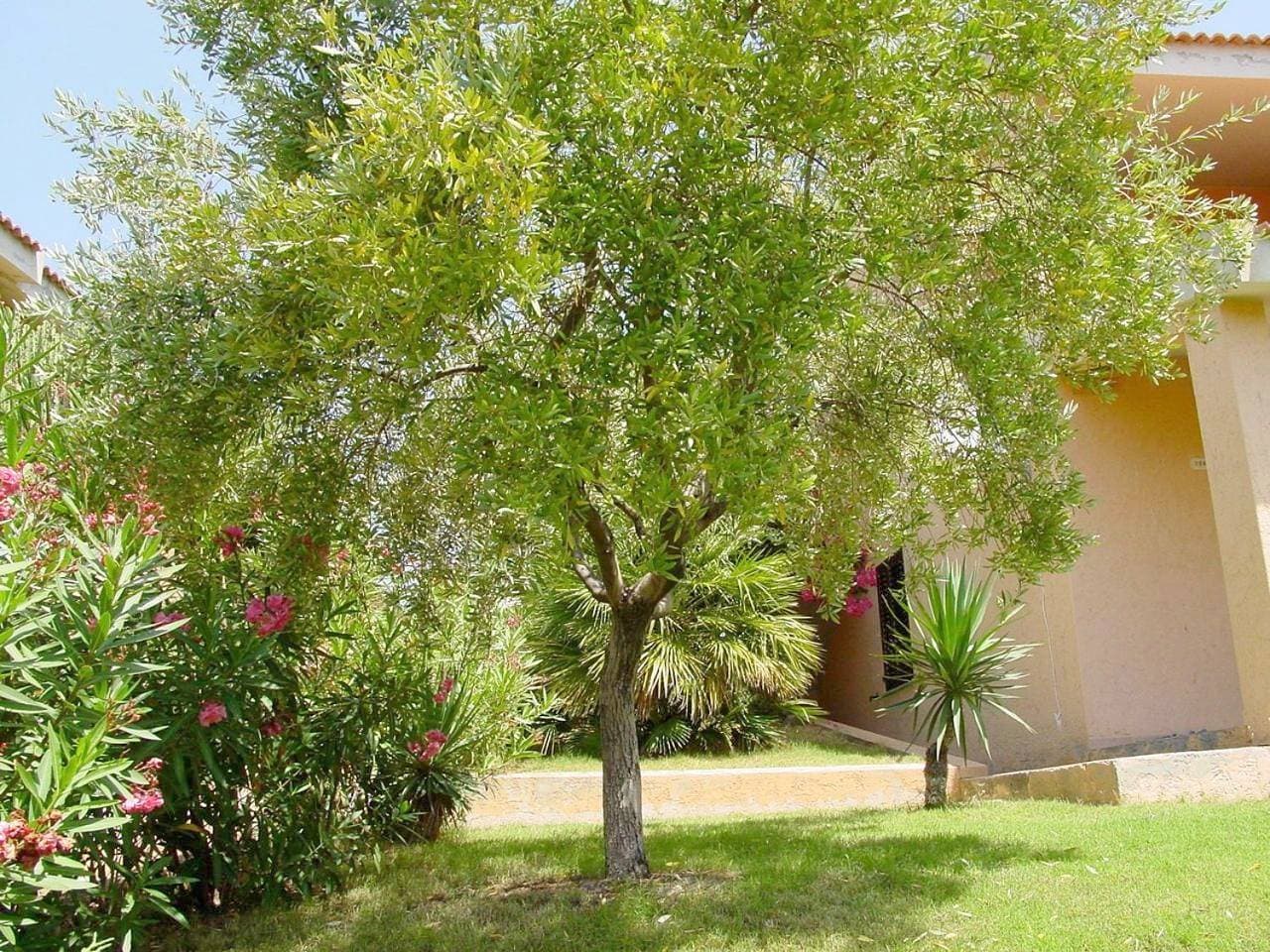 Foto 3 von 22: Holiday Home