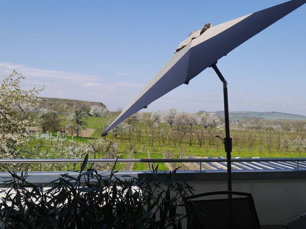 Foto 3 von 29: Spätburgunder im Ferienhaus Lehmättle