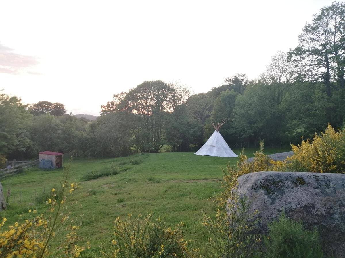 Foto 4 von 11: Tent