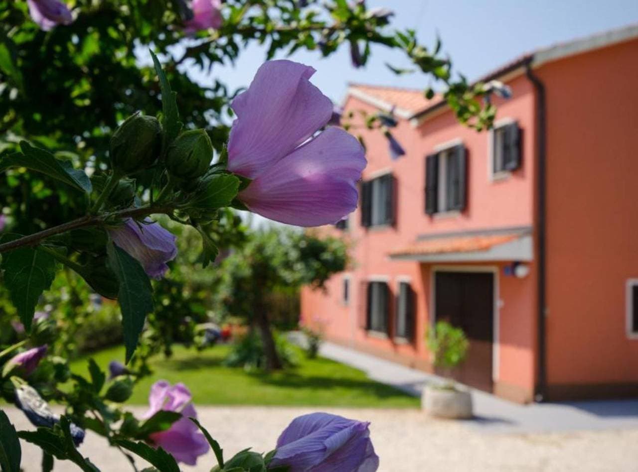 Villa 260m² 1