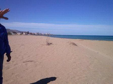 Foto 10 von 148: Holiday Home