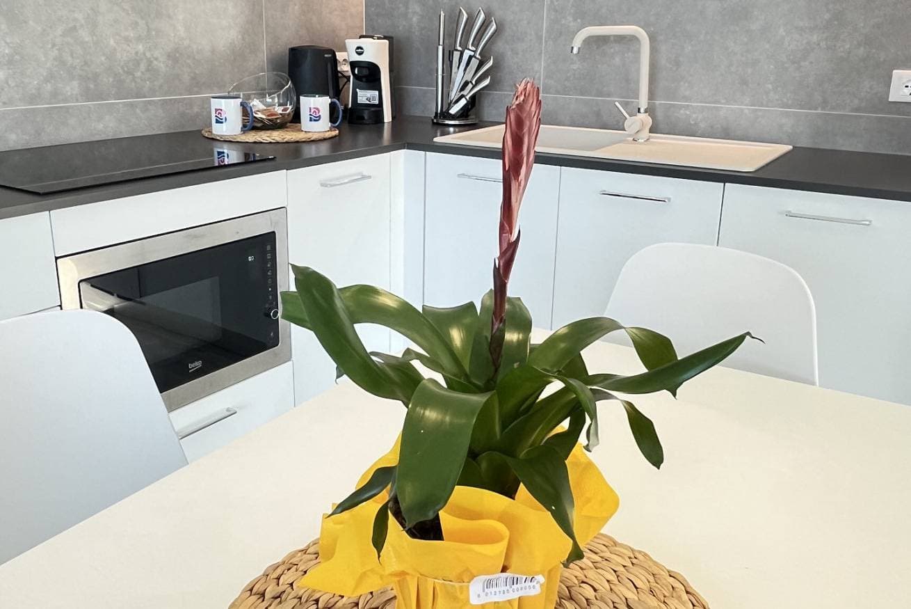 Foto 7 von 28: Ferienwohnung für 5 Personen mit Balkon/Terrasse